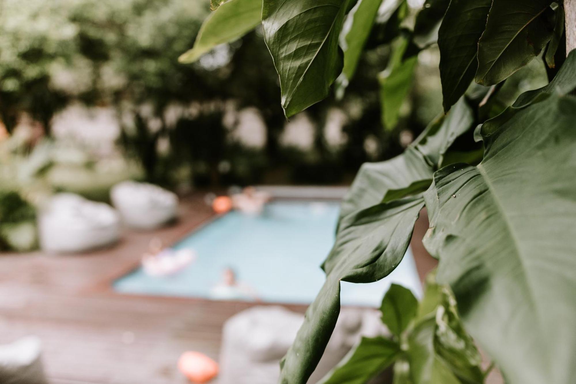 Cabins Sodwana Bay - Antibootika エクステリア 写真