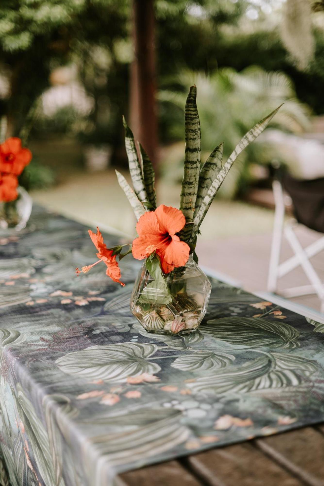 Cabins Sodwana Bay - Antibootika エクステリア 写真